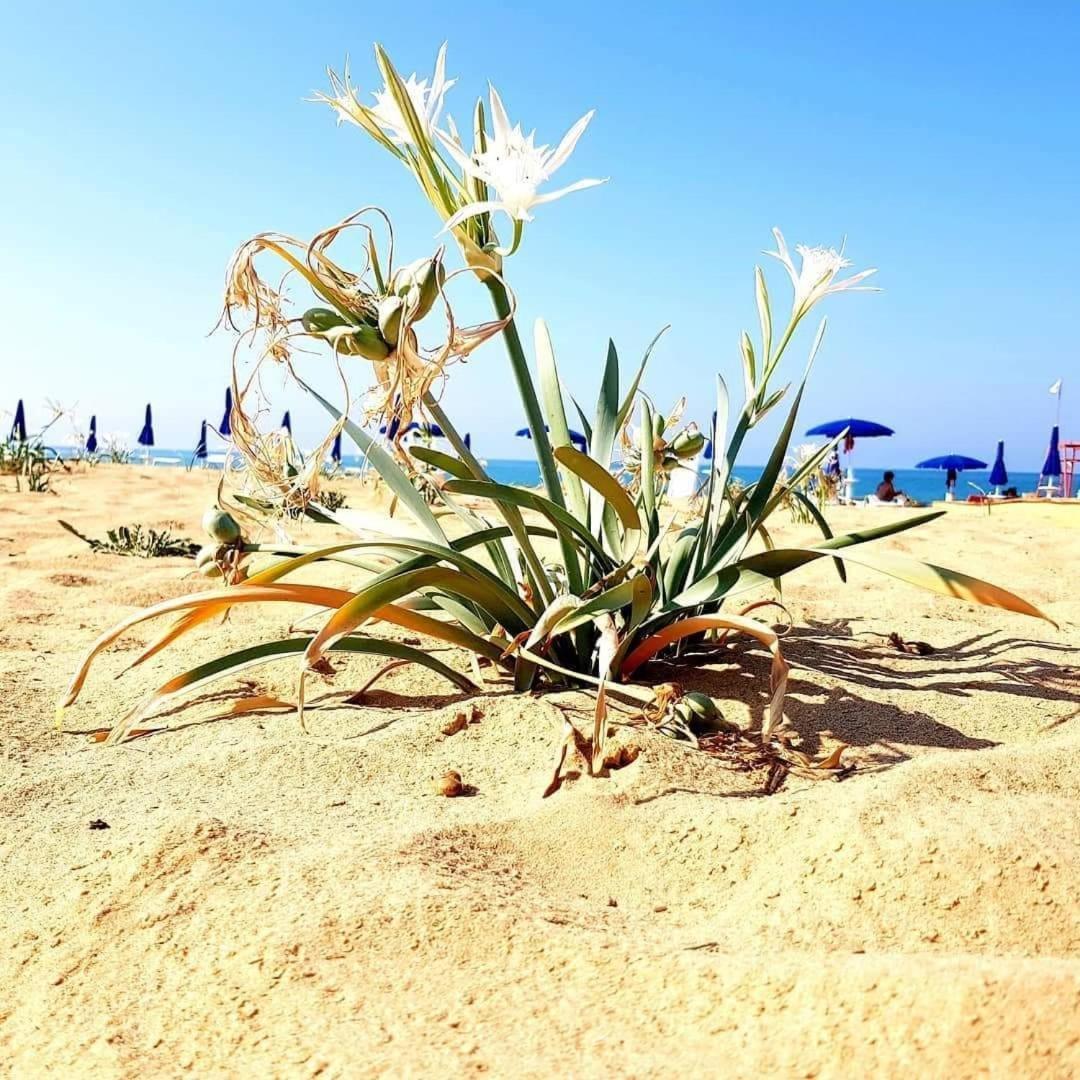 Casa Vacanza Nonna Nena Porto Empedocle Exteriör bild